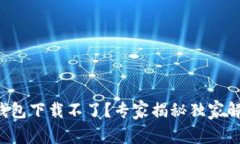 小狐狸钱包下载不了？专