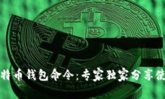 揭秘比特币钱包命令：专