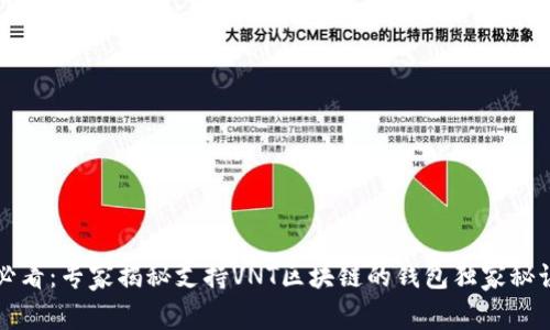 必看：专家揭秘支持VNT区块链的钱包独家秘诀