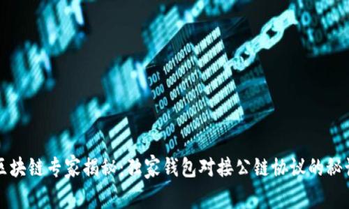 区块链专家揭秘：独家钱包对接公链协议的秘诀