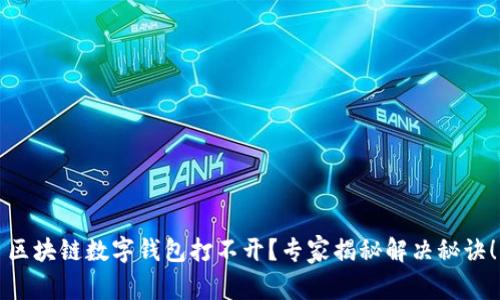 区块链数字钱包打不开？专家揭秘解决秘诀！