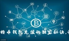 专家揭示：比特币钱包充