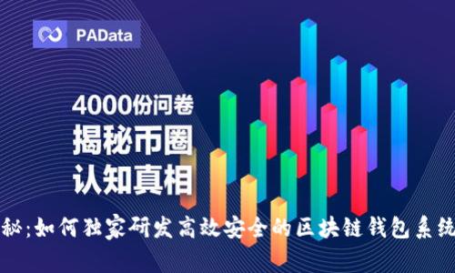 专家揭秘：如何独家研发高效安全的区块链钱包系统的秘诀