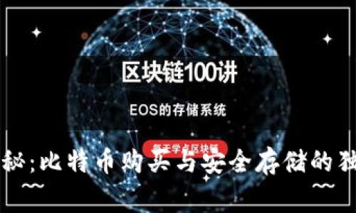 专家揭秘：比特币购买与安全存储的独家秘诀