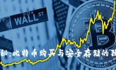 专家揭秘：比特币购买与