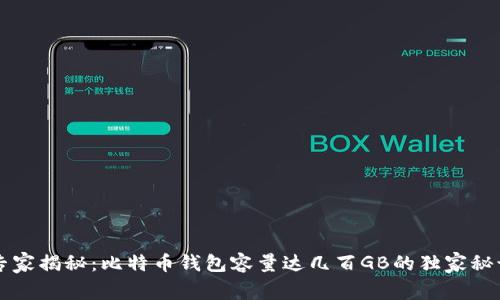 专家揭秘：比特币钱包容量达几百GB的独家秘诀