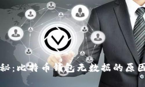 专家独家揭秘：比特币钱包无数据的原因及解决秘诀