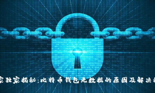 专家独家揭秘：比特币钱包无数据的原因及解决秘诀