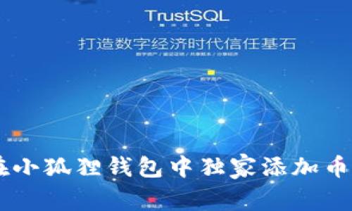 专家揭秘：如何在小狐狸钱包中独家添加币安链USDT的秘诀