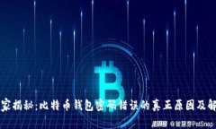 专家独家揭秘：比特币钱