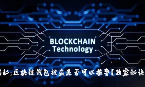 专家揭秘：区块链钱包被盗是否可以报警？独家秘诀大解析
