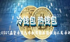 专家揭秘：USDT在货币钱包