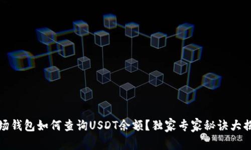 波场钱包如何查询USDT余额？独家专家秘诀大揭秘