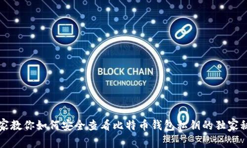 专家教你如何安全查看比特币钱包私钥的独家秘诀
