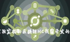 专家独家揭秘区块链MC钱包
