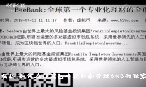 专家揭秘：如何在TP钱包中获取和管理BNB的独家秘诀