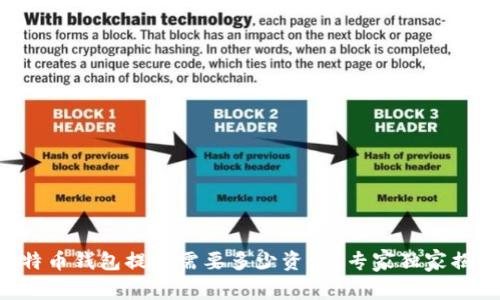 比特币钱包提现需要多少资金？专家独家揭秘！