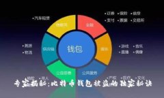 专家揭秘：比特币钱包被