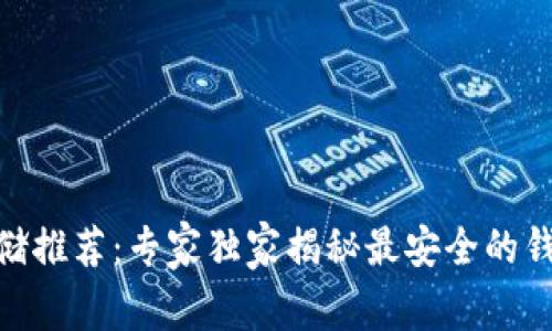 USDT存储推荐：专家独家揭秘最安全的钱包选项！