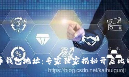 如何打开比特币钱包地址：专家独家揭秘开启比特币世界的秘诀