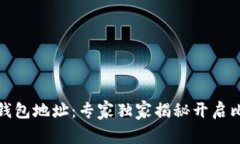 如何打开比特币钱包地址