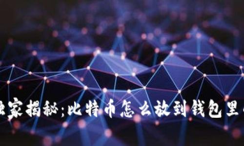 专家独家揭秘：比特币怎么放到钱包里的秘诀