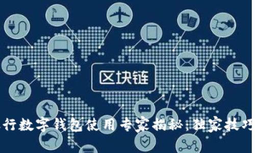 中国银行数字钱包使用专家揭秘：独家技巧与秘诀