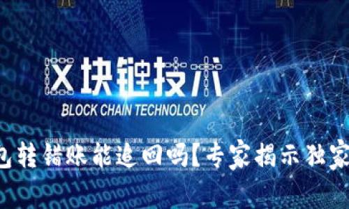 TP钱包转错账能追回吗？专家揭示独家秘诀！