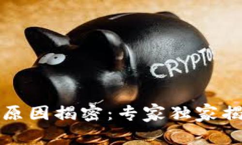 TP钱包转账闪退的原因揭密：专家独家揭秘转账成功的秘诀