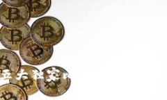 2023专家推荐：五大独家比