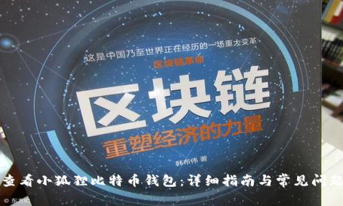 如何查看小狐狸比特币钱包：详细指南与常见问题解答