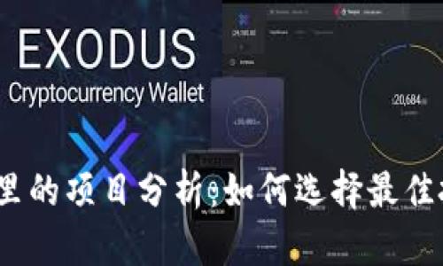 t p钱包里的项目分析：如何选择最佳投资机会