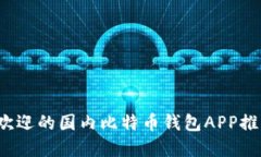 2023年最受欢迎的国内比特