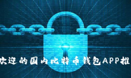 2023年最受欢迎的国内比特币钱包APP推荐与使用指南