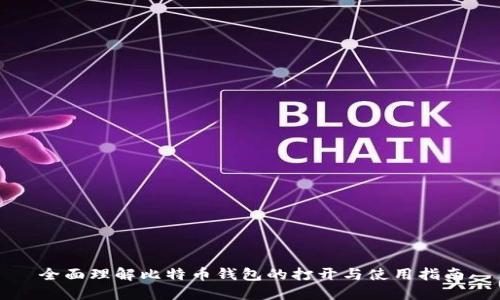 全面理解比特币钱包的打开与使用指南