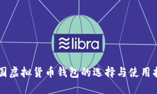 中国虚拟货币钱包的选择与使用指南
