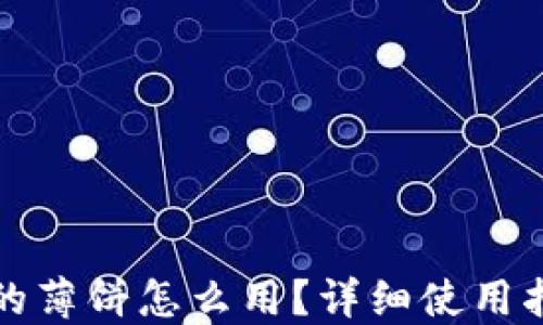 
TP钱包里的薄饼怎么用？详细使用指南与技巧