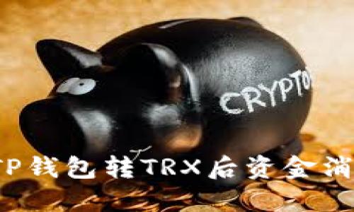 如何解决TP钱包转TRX后资金消失的问题？