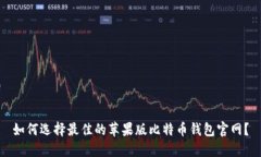 如何选择最佳的苹果版比