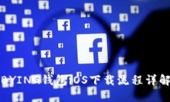 BYING钱包iOS下载流程详解