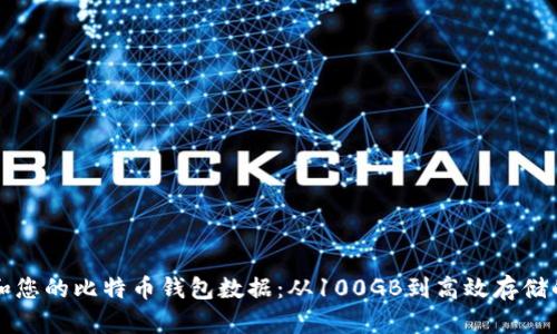 如何管理和您的比特币钱包数据：从100GB到高效存储的全面指南