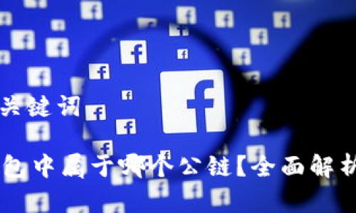 标准化的和关键词

FILE在TP钱包中属于哪个公链？全面解析及应用指南