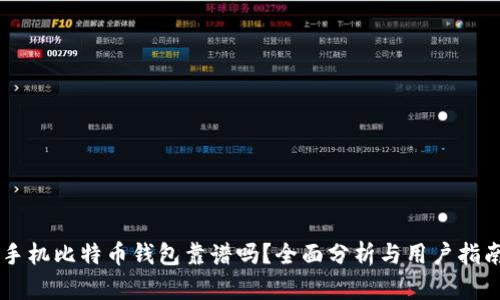 手机比特币钱包靠谱吗？全面分析与用户指南