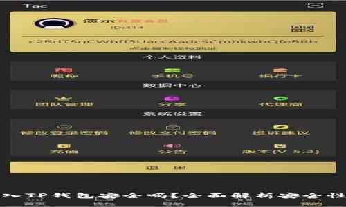 私钥导入TP钱包安全吗？全面解析安全性与风险